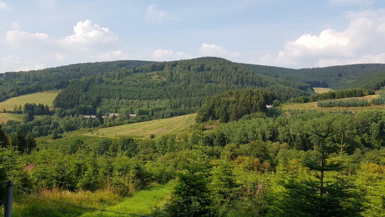 Ferienwohnung " Bianco" Winterberg Luaran gambar